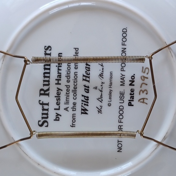 The DANBURY MINT COLLECTION,Surf Runners horse collector plate - Picture 2 of 2